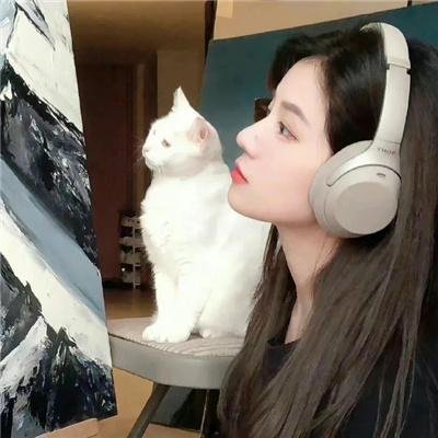 大象家族
